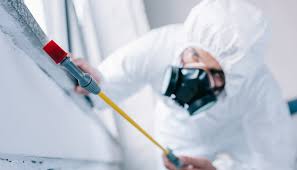 Best Pest Exclusion Services  in Breezy Point, MN